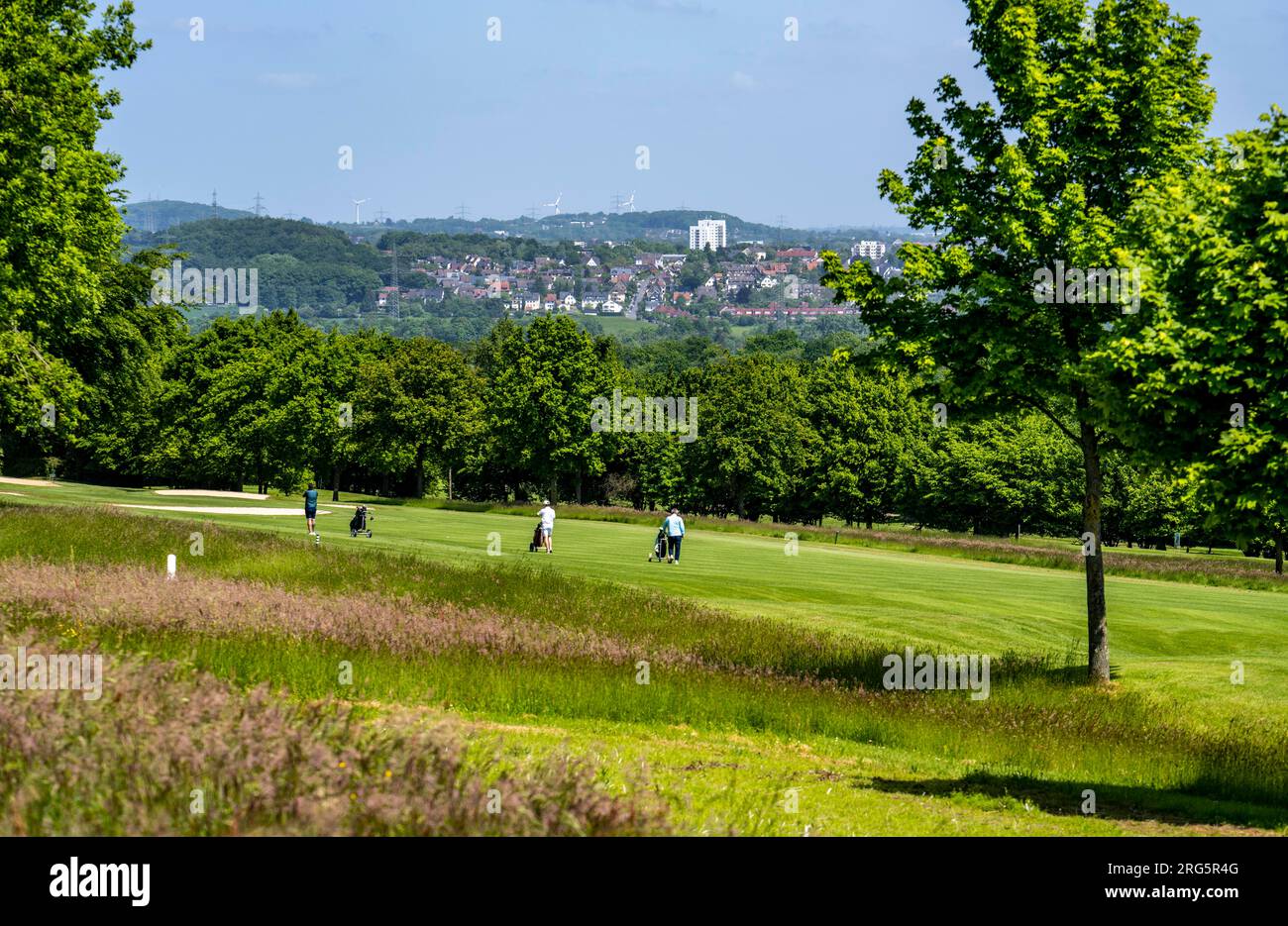 View over the course of the Golf Club Bochum towards Witten, NRW, Germany Stock Photo