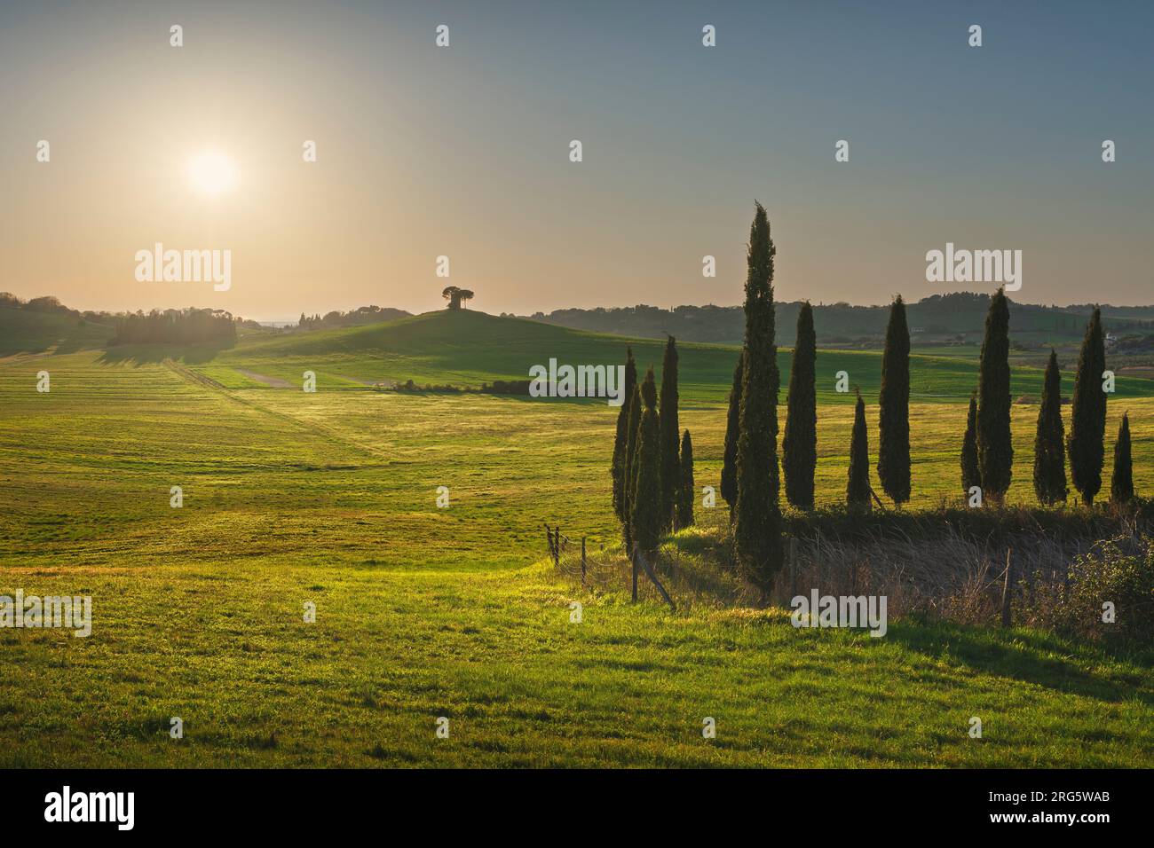 Sunset landscape in Maremma countryside. Rolling hills and cypress trees. Bibbona. Tuscany region, Italy, Europe Stock Photo