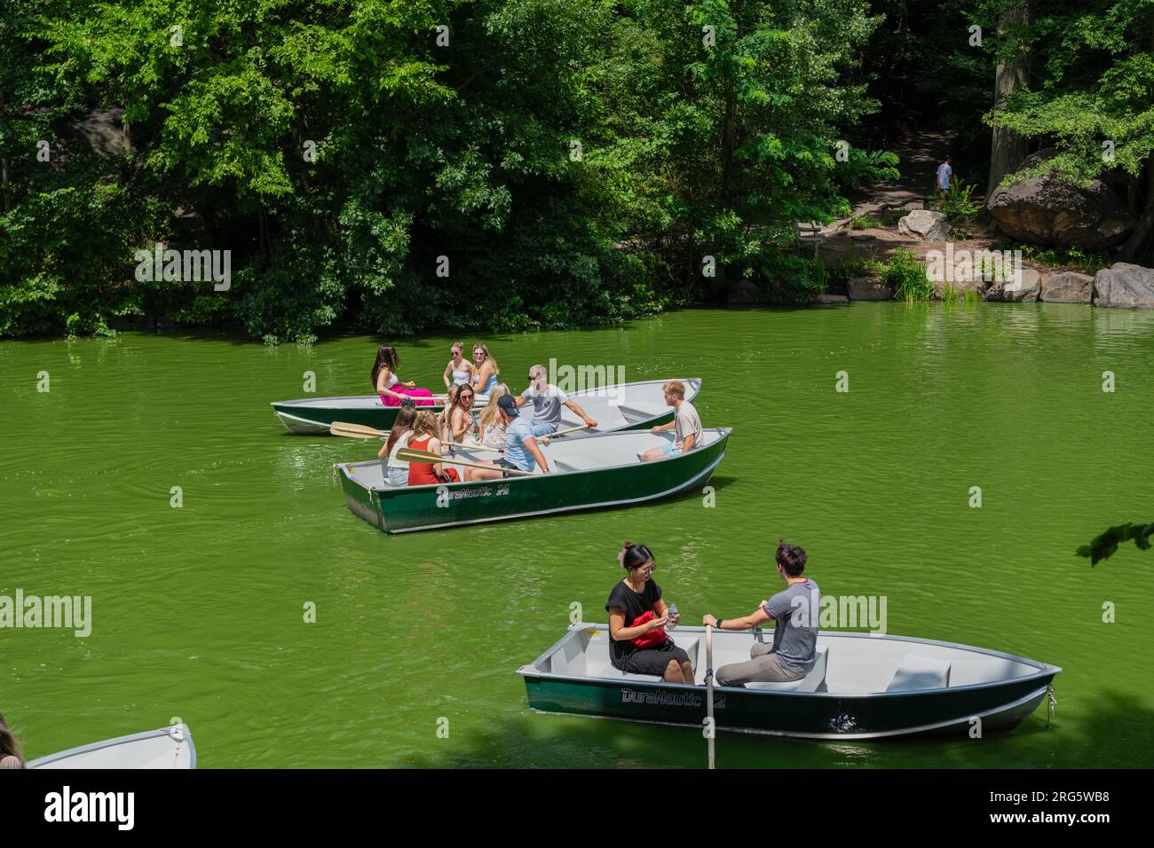 New York, USA - July 22, 2023: central park in new york city with landscape of pond or lake and building of manhattan. Calm retreat in the park. Stock Photo