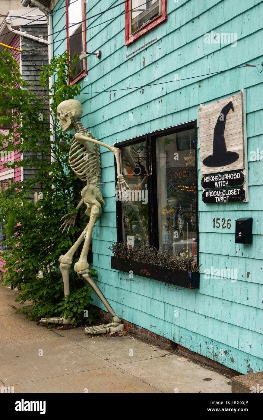 Broom closet tarot reading business neighborhood witch sign hires