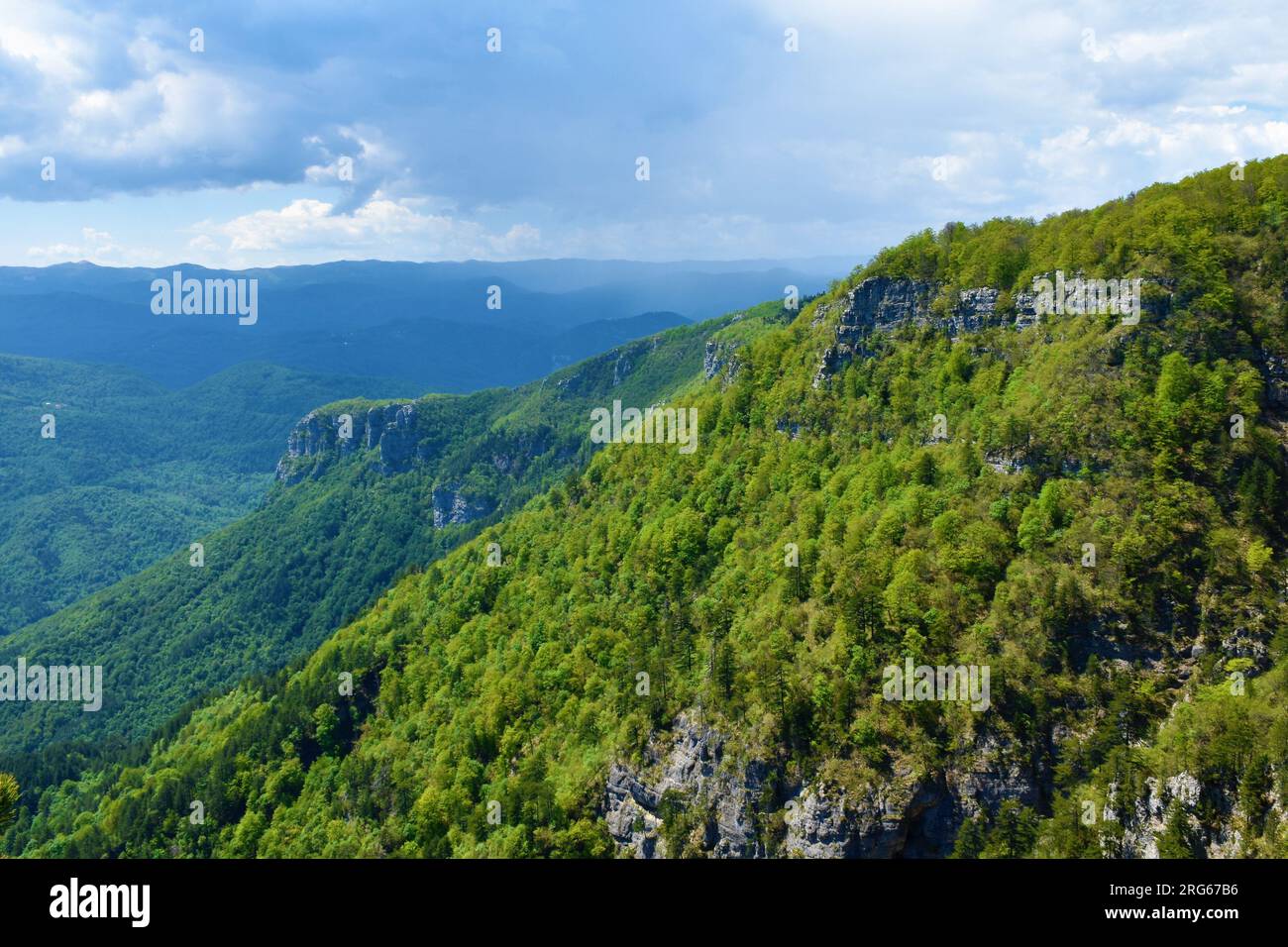 Risnjak mountain forest hi-res stock photography and images - Alamy