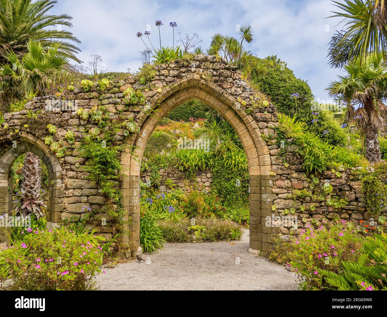 tresco abbey gardens the isles of scilly