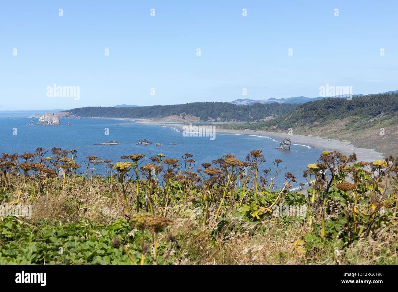 View out over the ocean, from the tip of Cape Blanco in Port Orford, Oregon. Stock Photo