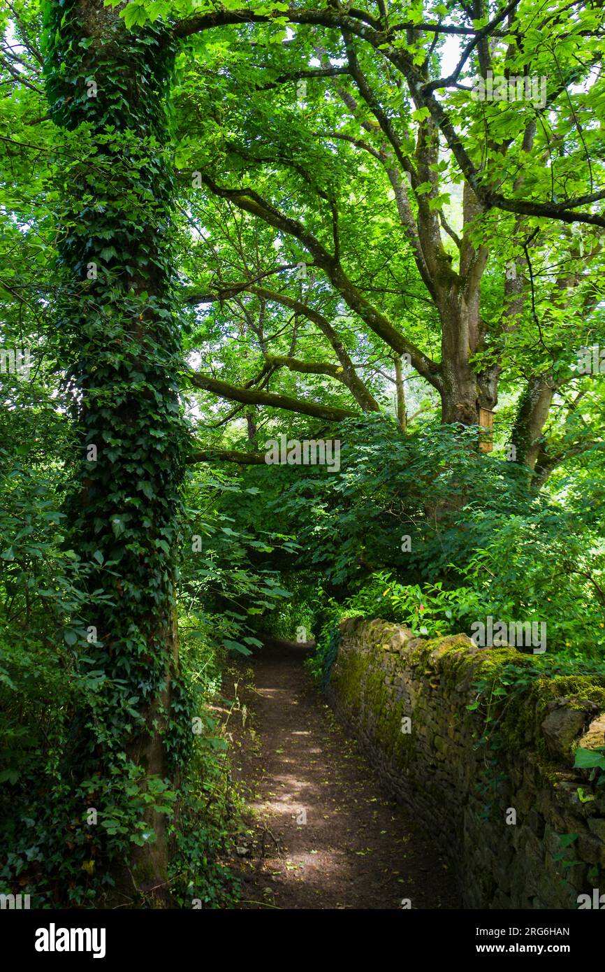 Forest, Upper Slaughter, The Costwolds, England Stock Photo