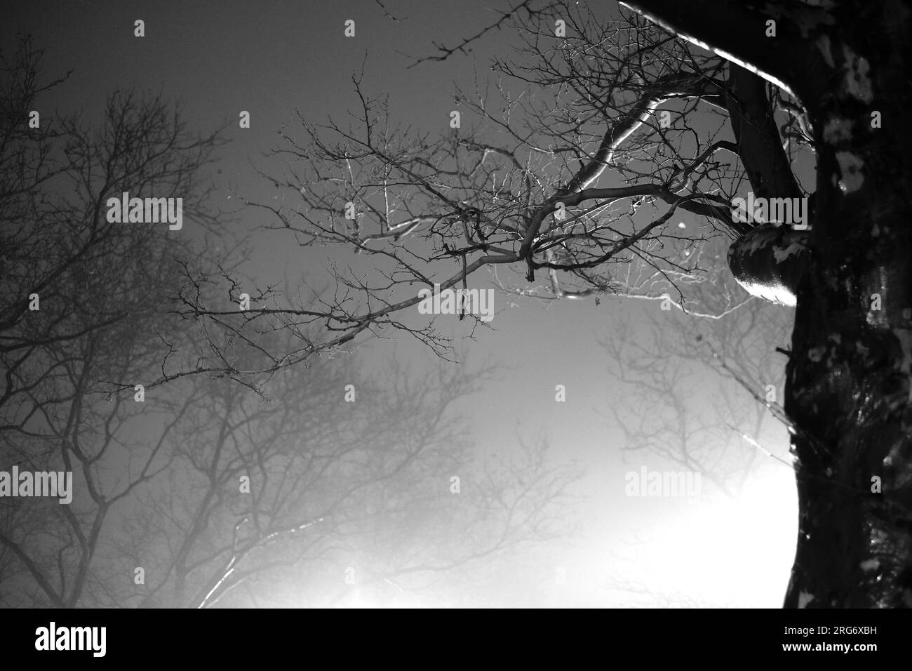 artsy intimate upclose look at nature life with sunrises and sunsets