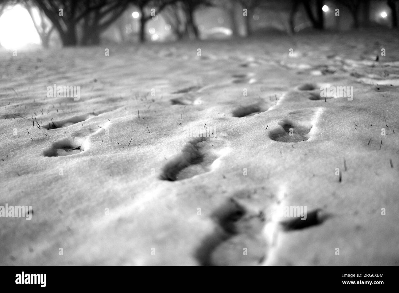 artsy intimate upclose look at nature life with sunrises and sunsets