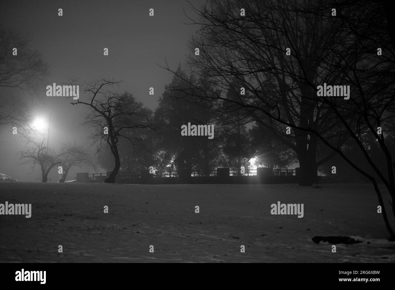 artsy intimate upclose look at nature life with sunrises and sunsets