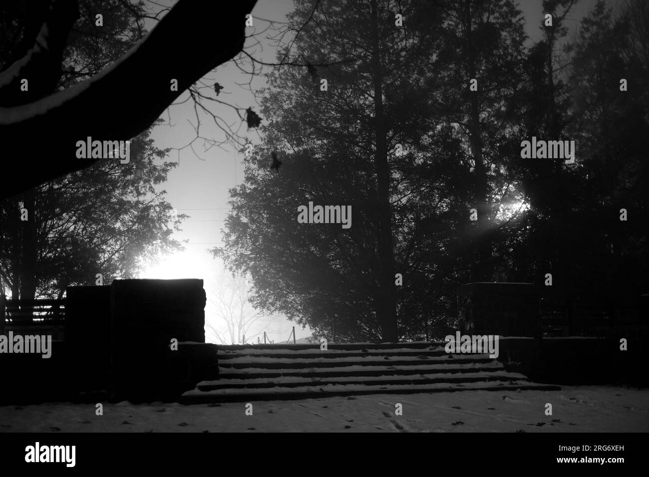 artsy intimate upclose look at nature life with sunrises and sunsets