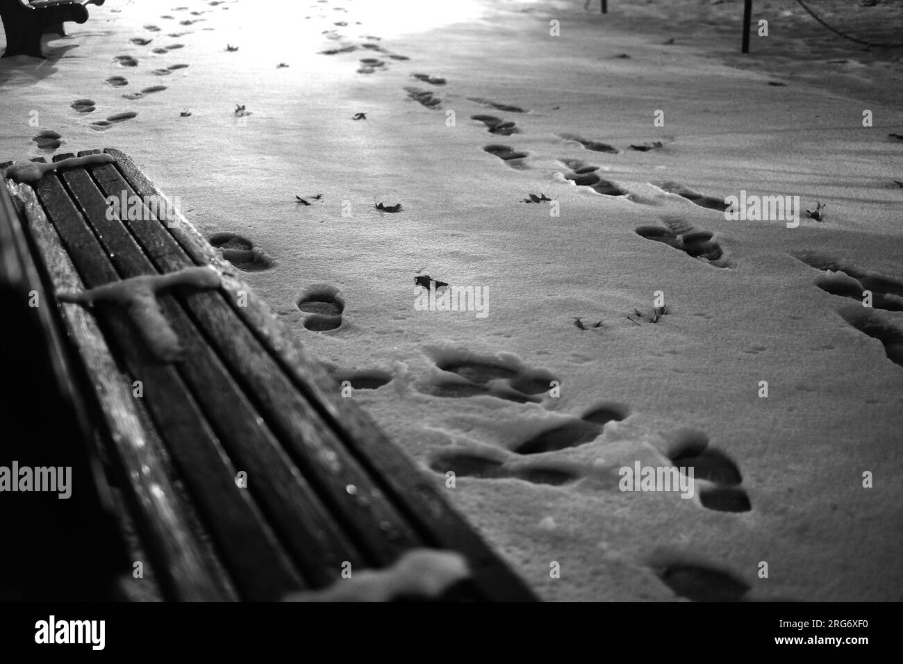 artsy intimate upclose look at nature life with sunrises and sunsets