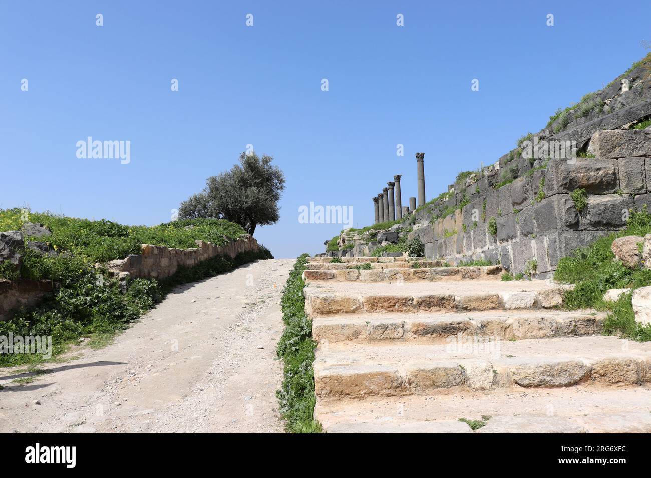 Travel to Arab Muslims city - Umm Qais, Irbid, Jordan (ancient Roman and Greek history in east) Stock Photo