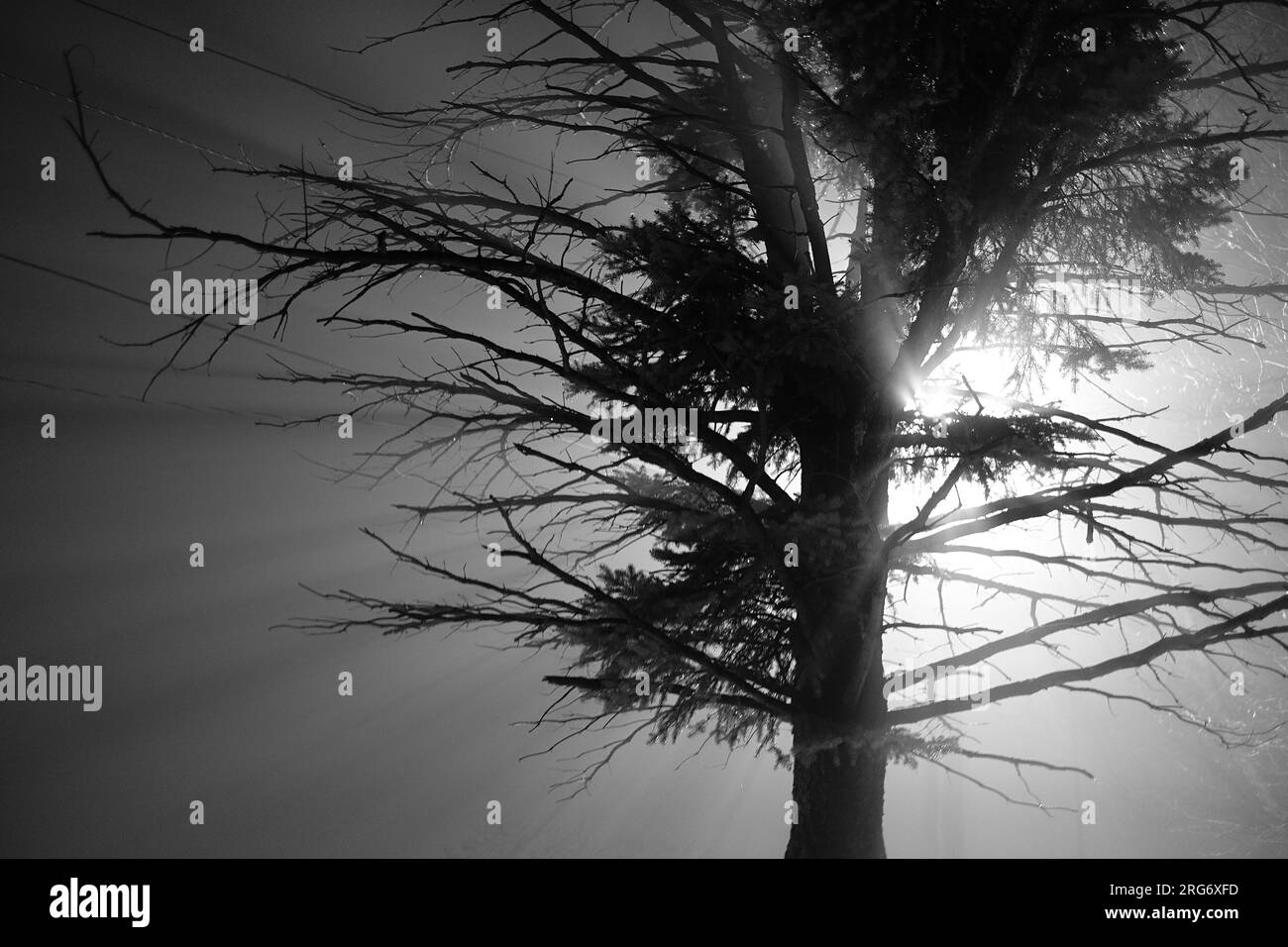 artsy intimate upclose look at nature life with sunrises and sunsets