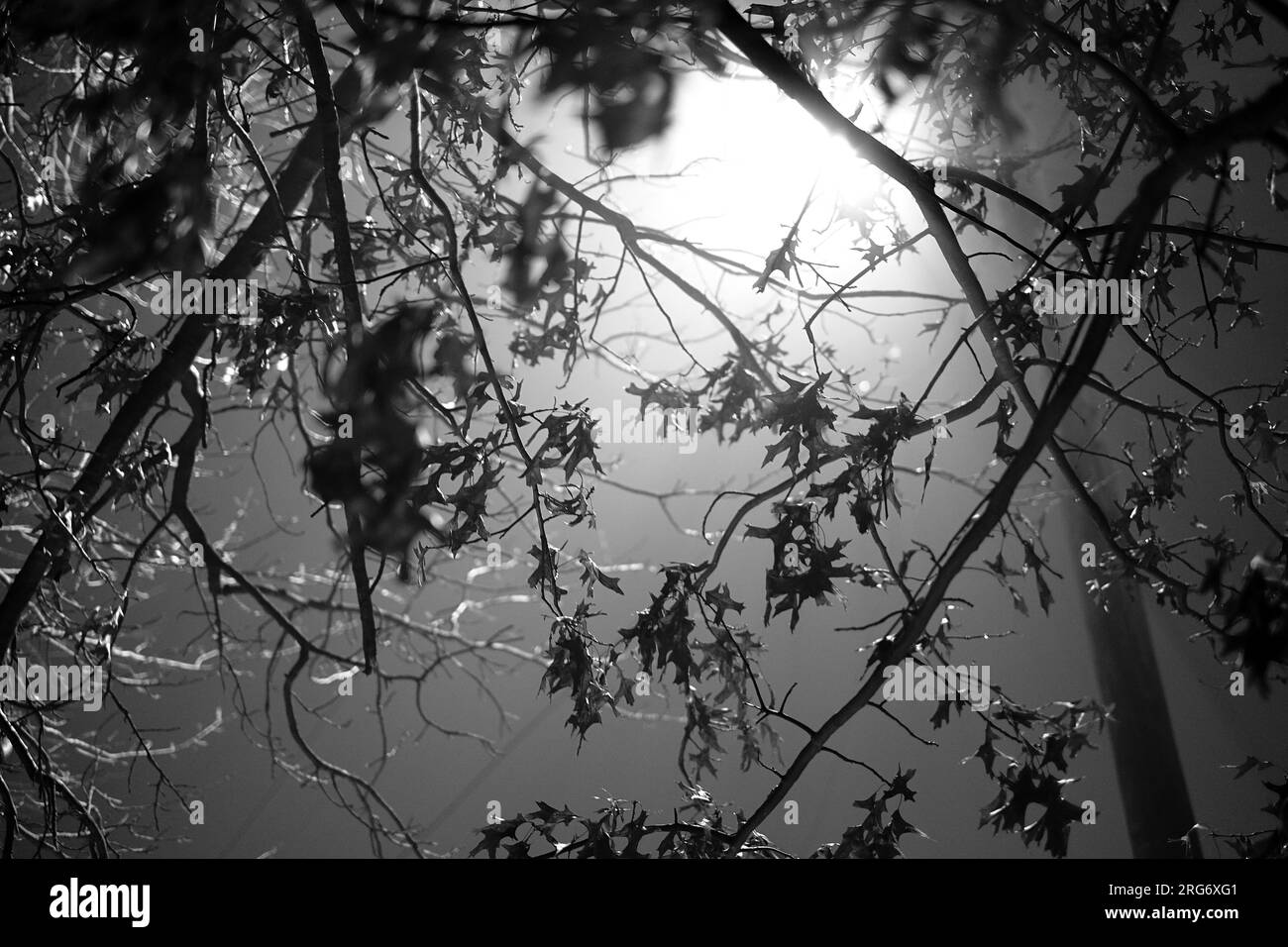 artsy intimate upclose look at nature life with sunrises and sunsets