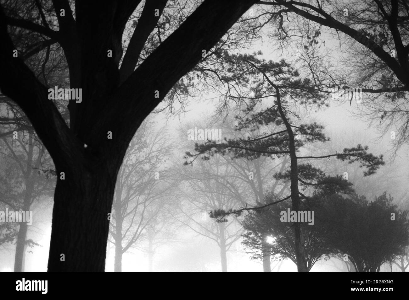 artsy intimate upclose look at nature life with sunrises and sunsets