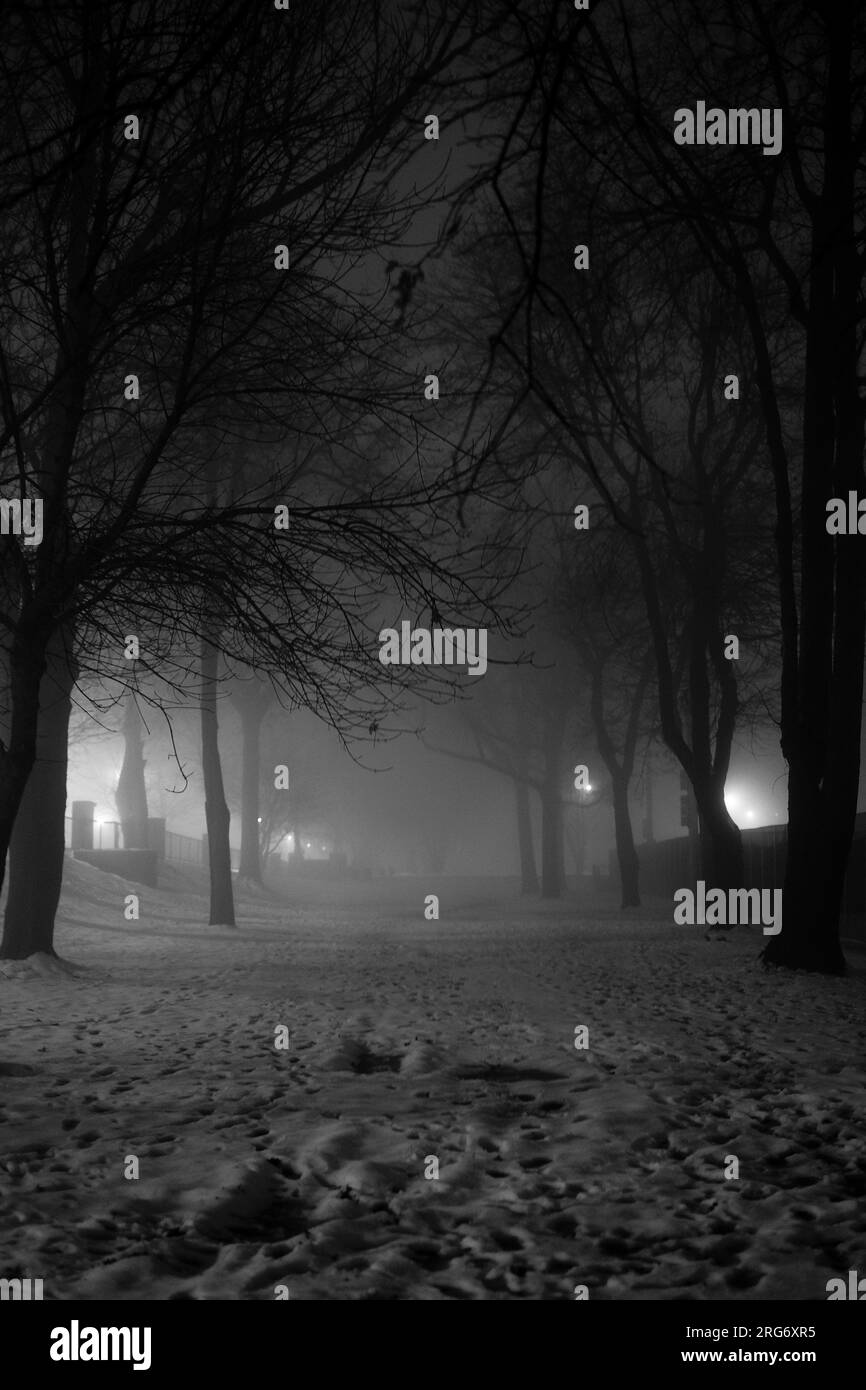 artsy intimate upclose look at nature life with sunrises and sunsets