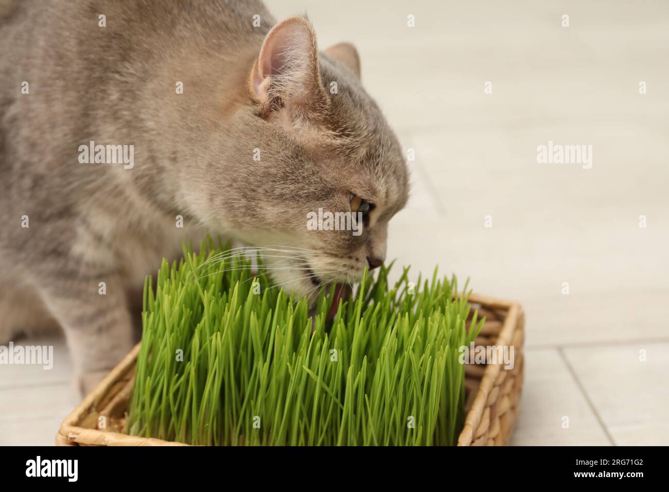 Gallery image with a fresh perspective
