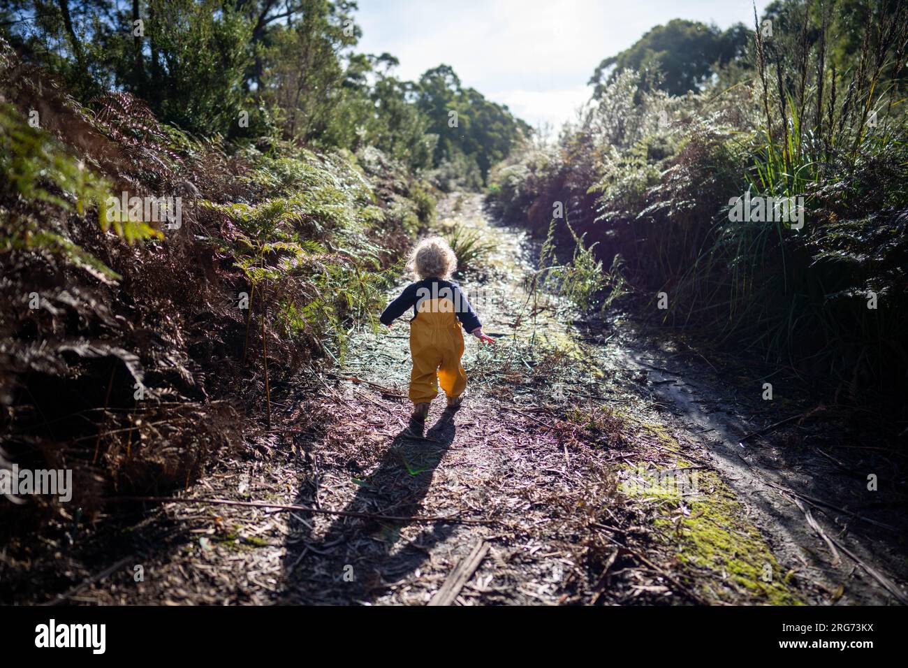 toddler exploring in yellow overalls in the forest in winter Stock