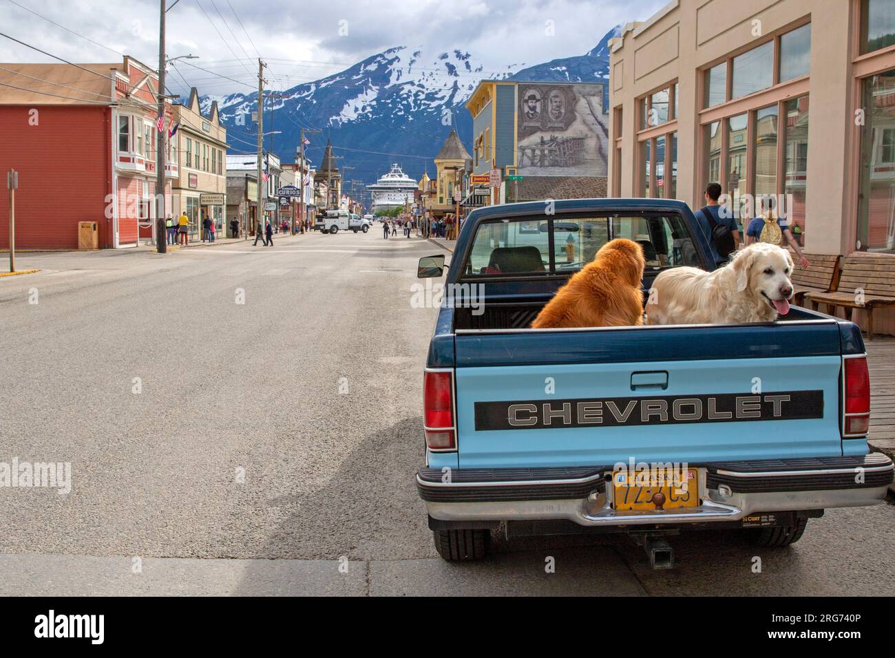 Dogs in the back of a vehicle on Broadway, Skagway Stock Photo