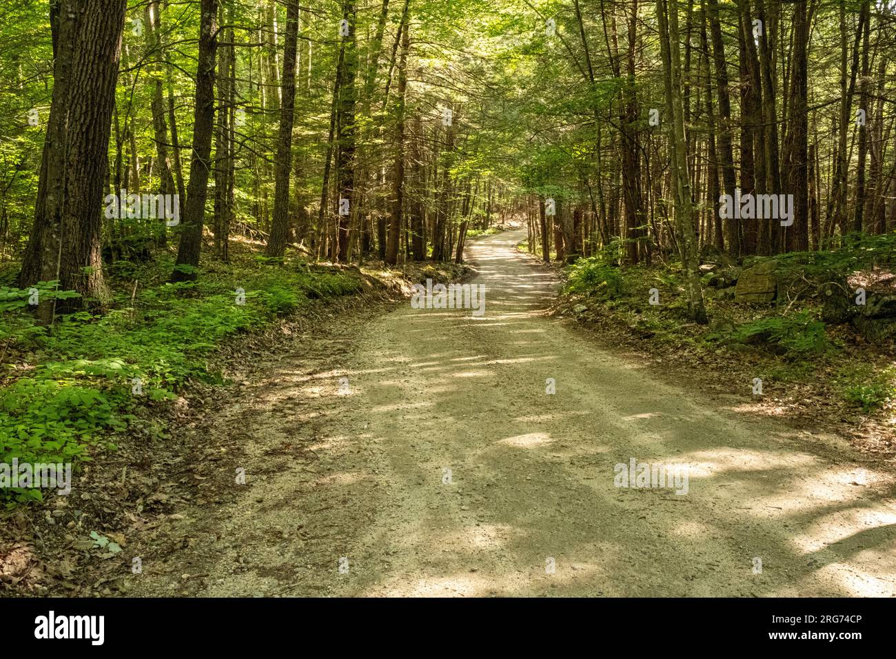 An old country road in northern Worcester County Stock Photo