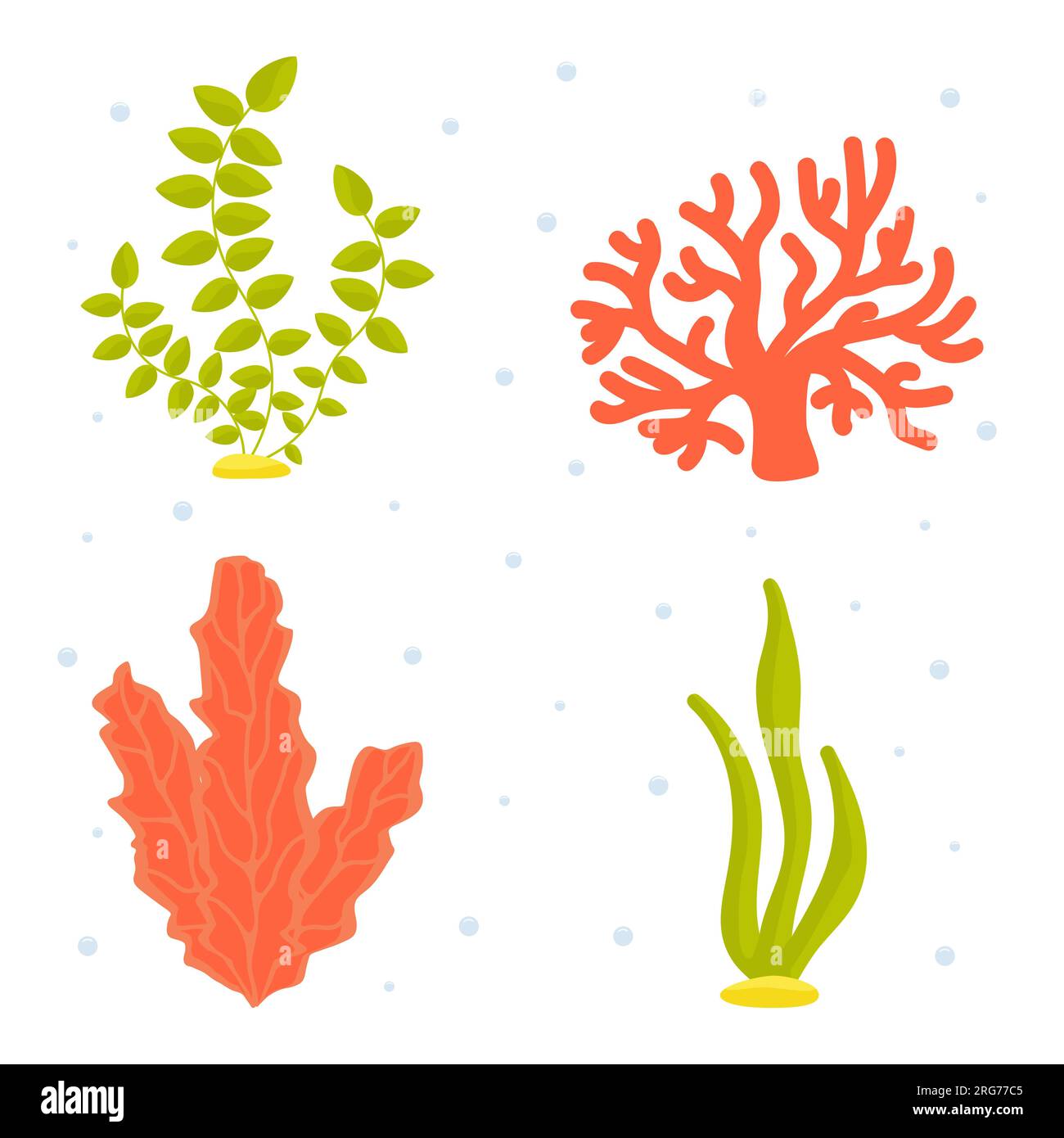 Vector illustration. Collection of underwater algae cartoon clipart. Undersea world. Sea, ocean, river. Stock Vector
