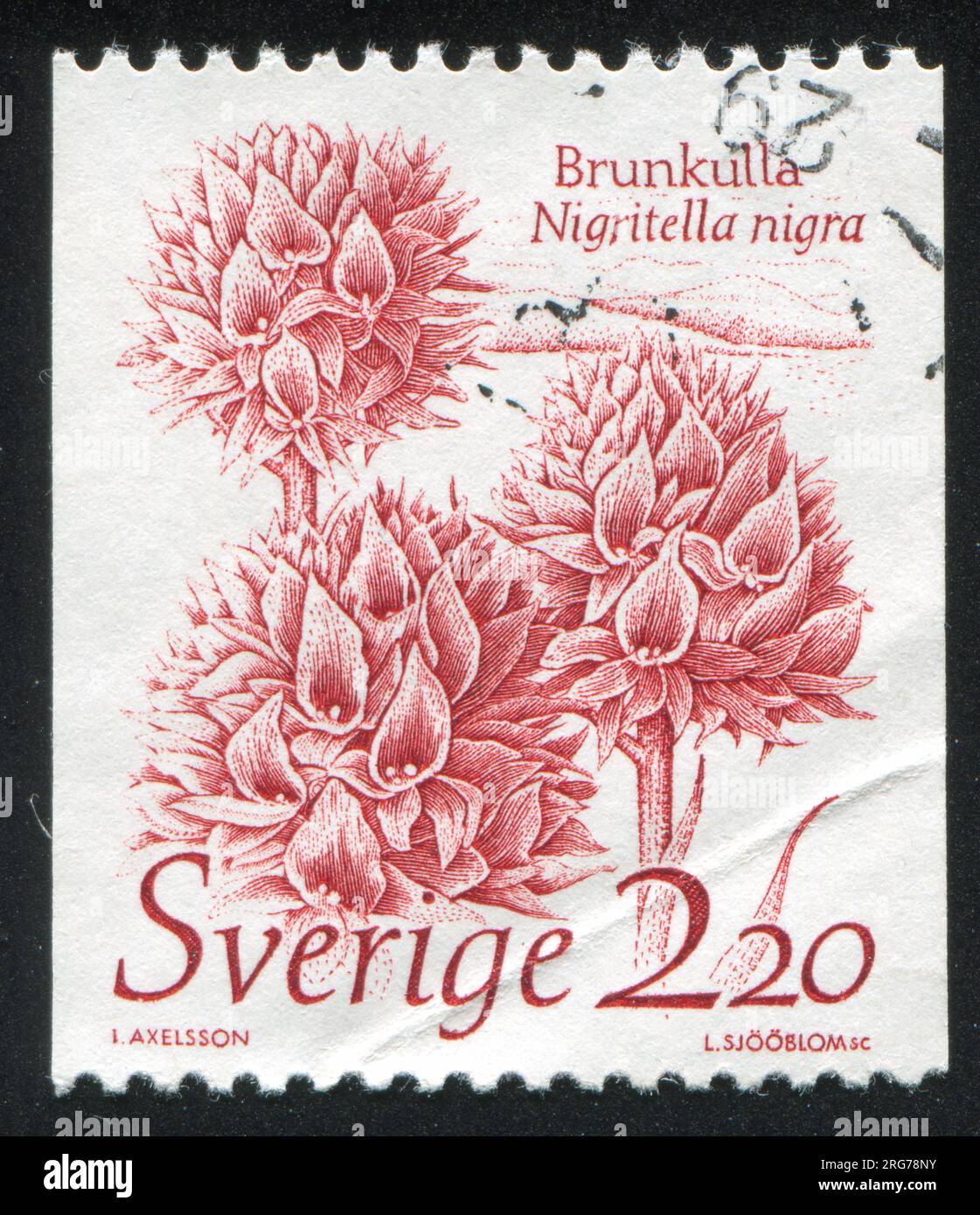SWEDEN - CIRCA 1985: stamp printed by Sweden, shows Black Vanilla Orchid, circa 1985 Stock Photo