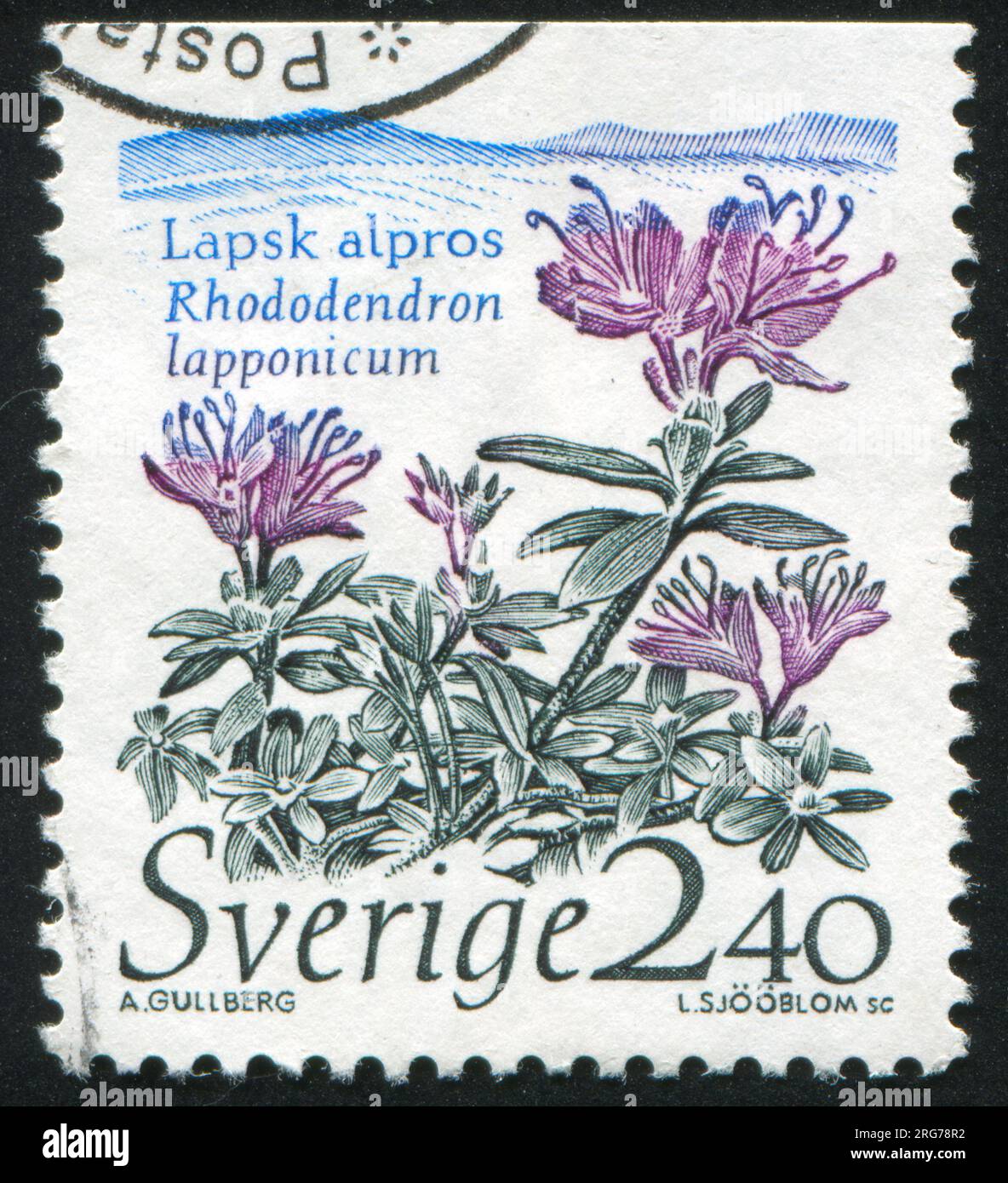 SWEDEN - CIRCA 1989: stamp printed by Sweden, shows Lapland rosebay, circa 1989 Stock Photo