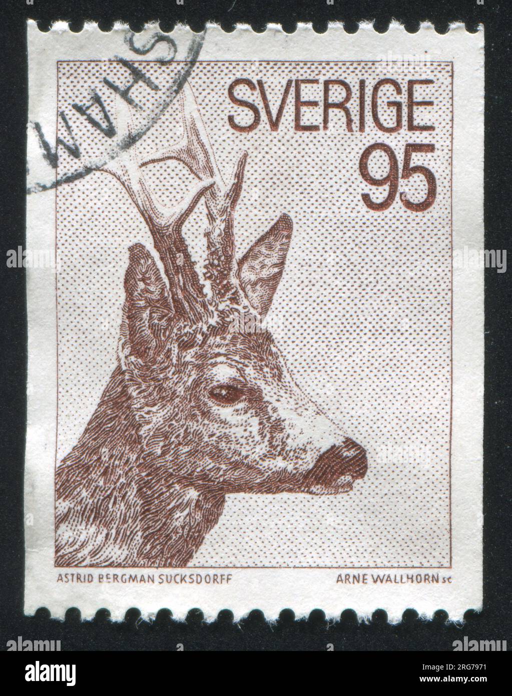 Sweden Roe SWEDEN - CIRCA 1972: stamp printed by Sweden, shows Roe deer, circa ...