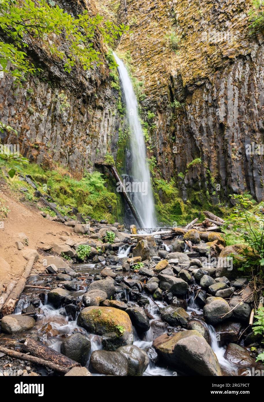 This is Dry Creek Falls on the Pacific Crest Trail near Cascade Locks