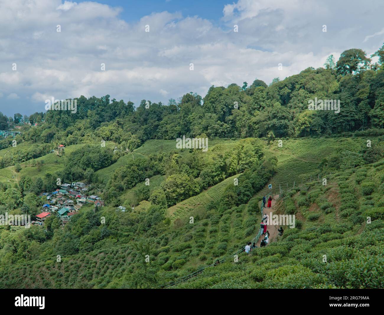 Darjeeling, West Bengal, India- 05.26.2023. landscape view of tea garden in Darjeeling hill station on a bright sunny day Stock Photo