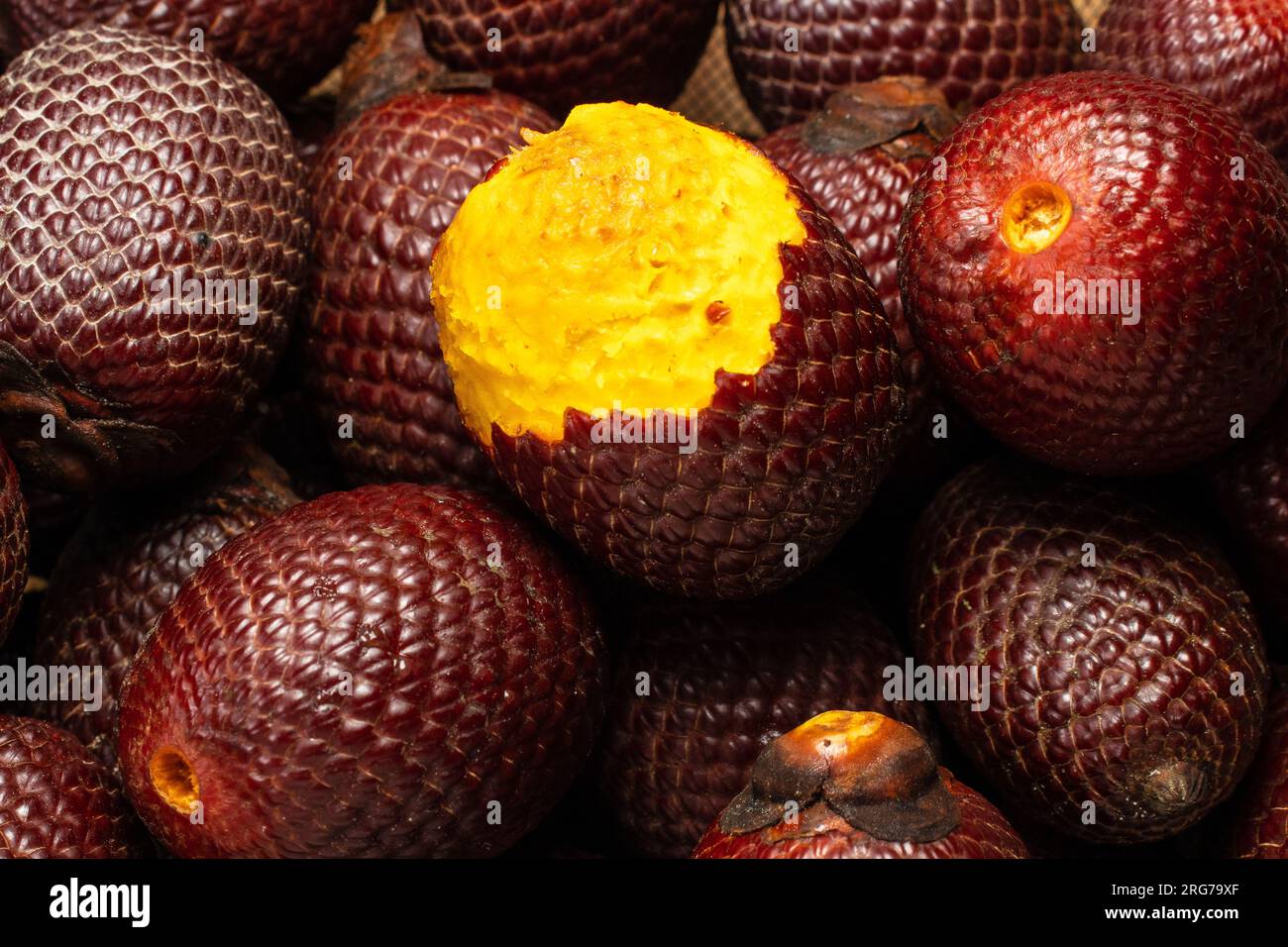 Primeros planos primeros planos hi-res stock photography and images - Alamy