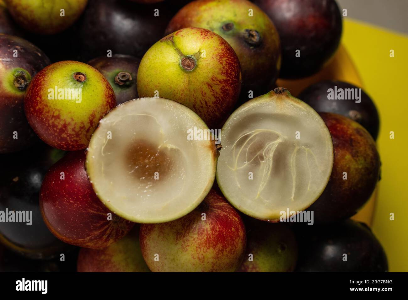 Camu camu is the fruit that contains the highest concentration of vitamin C, it is an Amazonian super fruit Stock Photo