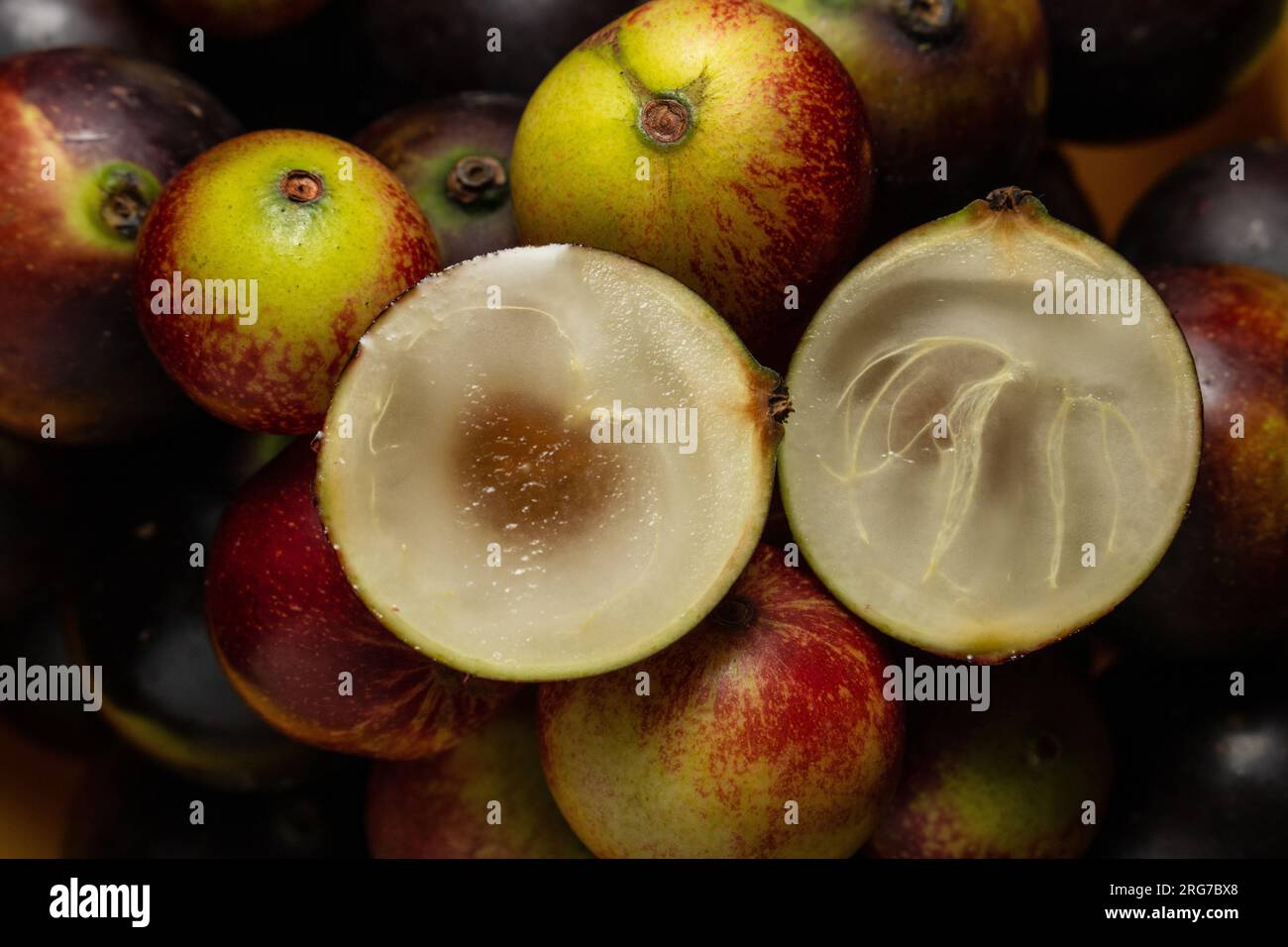 Camu camu is the fruit that contains the highest concentration of vitamin C, it is an Amazonian super fruit Stock Photo