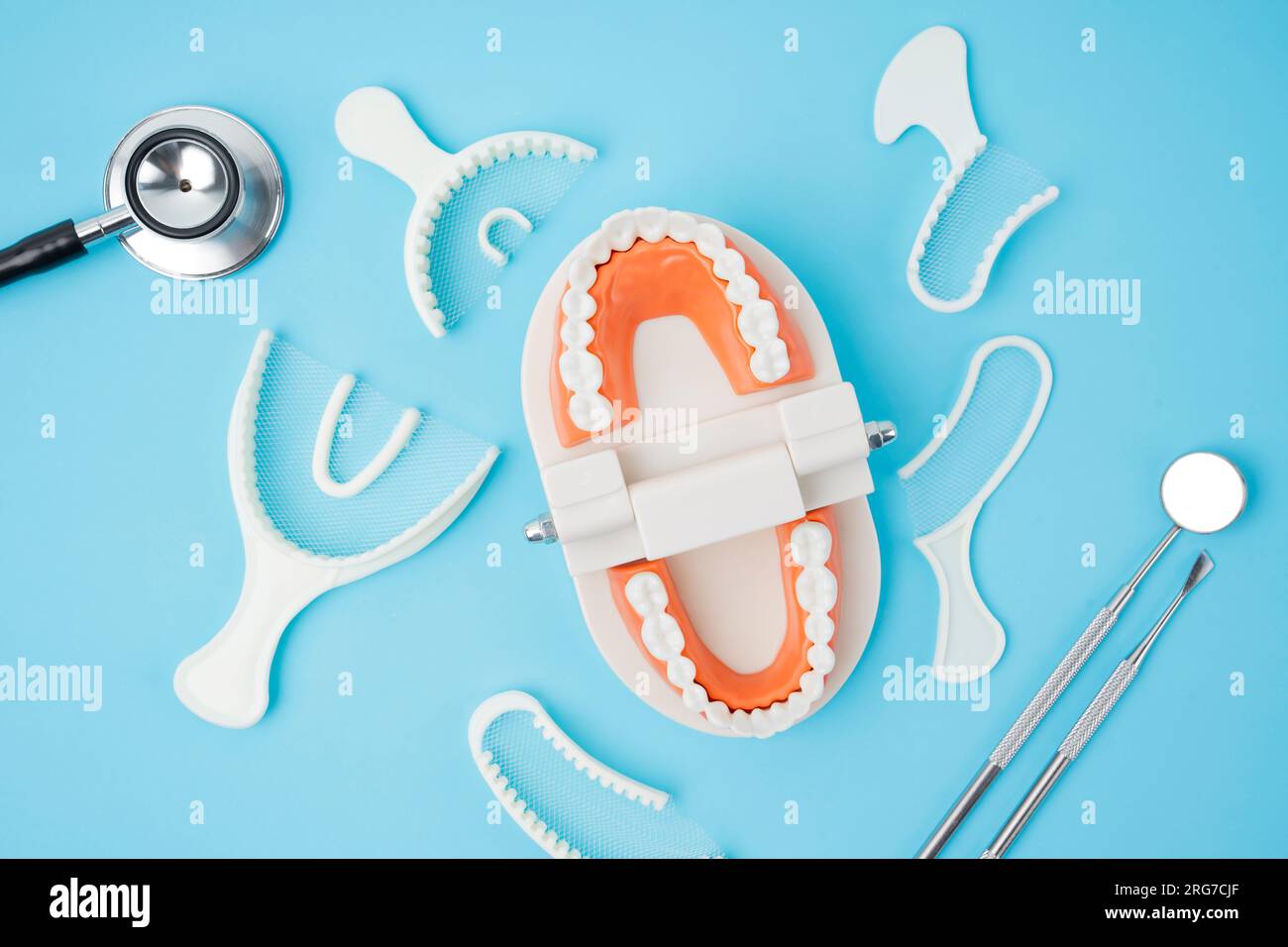 Teeth model and instrument dental on blue background Stock Photo - Alamy