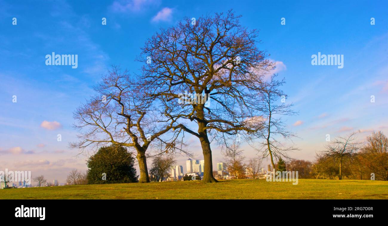 trees-overlooking-london-stock-photo-alamy
