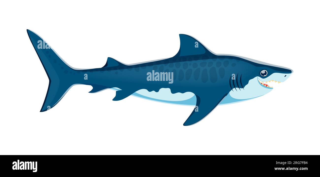 Tiger shark Cut Out Stock Images & Pictures - Page 2 - Alamy