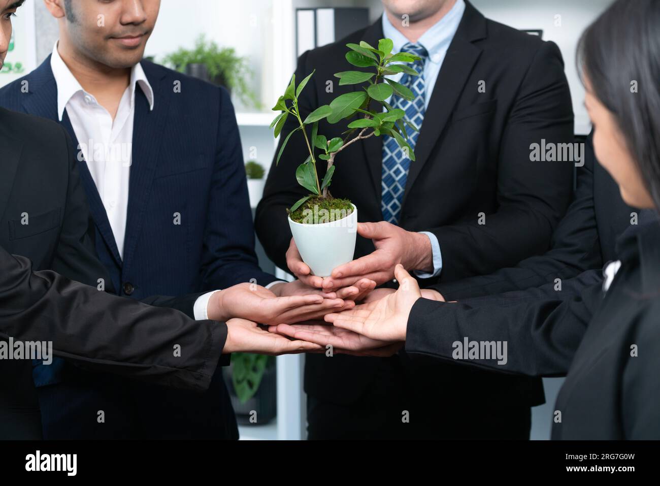 Ecofriendly investment on reforestation by group of business people