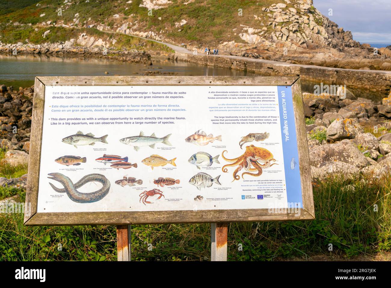 Fish species identification information sign, Atlantic Islands Galicia
