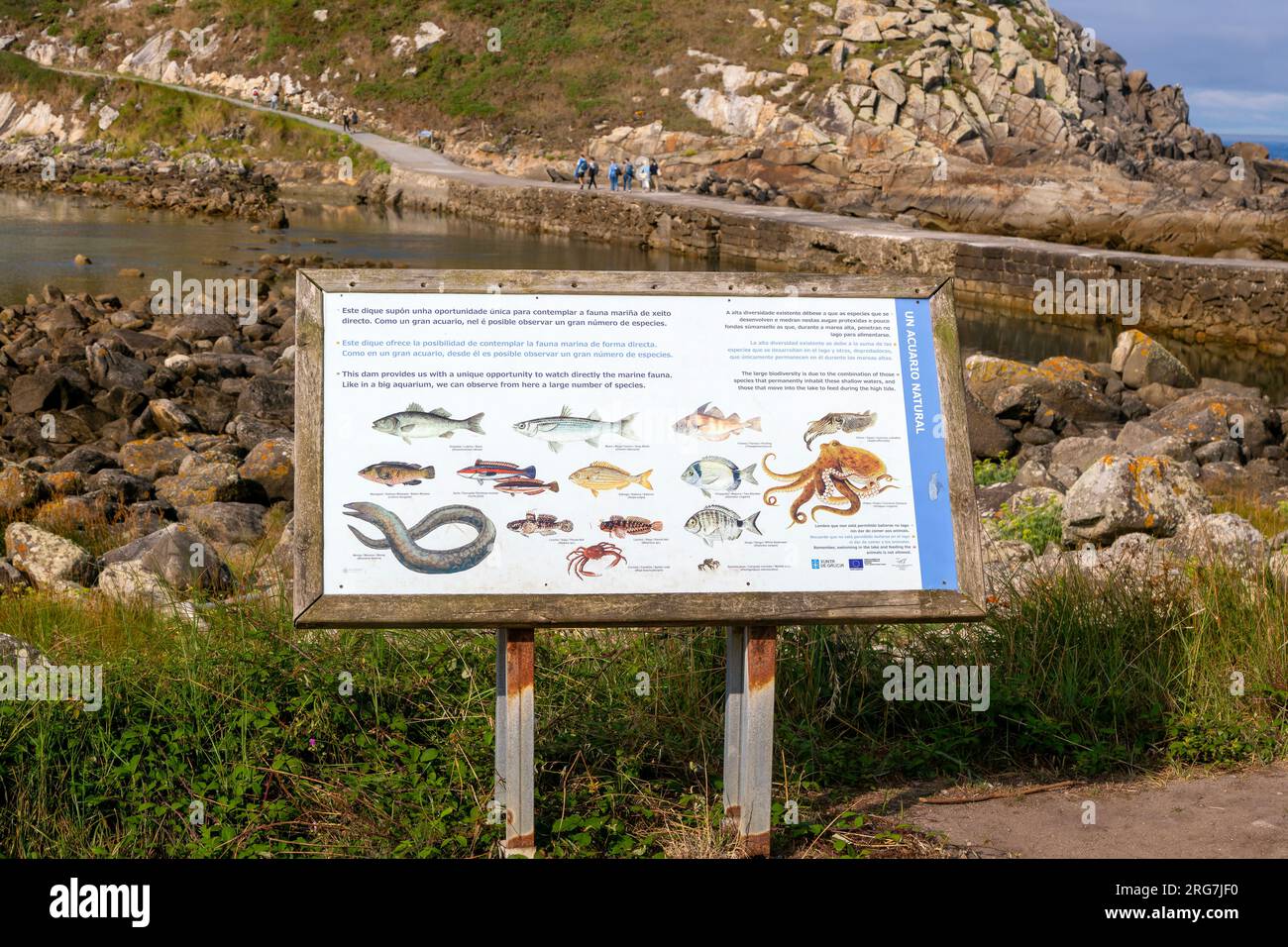Fish species identification information sign, Atlantic Islands Galicia