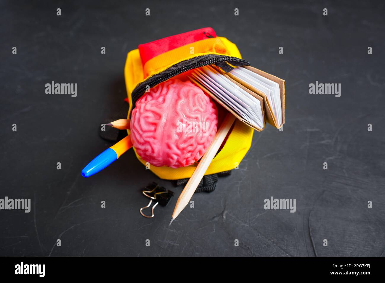 Top view of a soft and pliable human brain model, books and pencils set