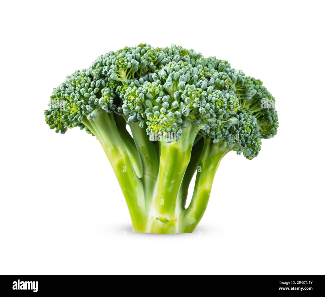 Broccoli isolated on white background. broccoli clipping path. Stock Photo