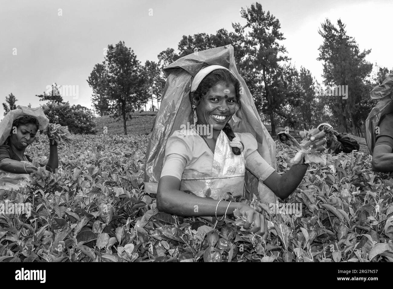 14 august 2005 black and white stock photos images alamy