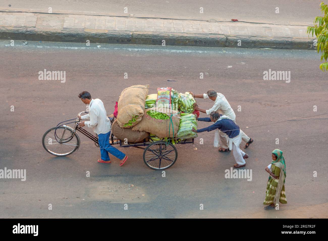 Jaipur, India - November 13, 2011:  farmer carry their vegetables in a rickshaw and pull the cart along the main street with the whole family. Stock Photo