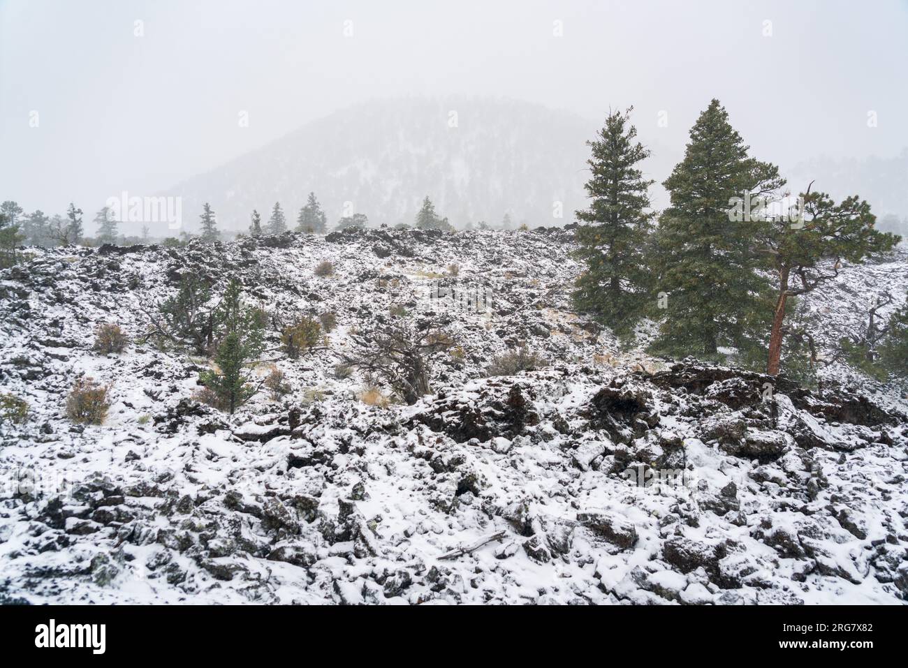 Ice Cave and Bandera Volcano in New Mexico Stock Photo Alamy