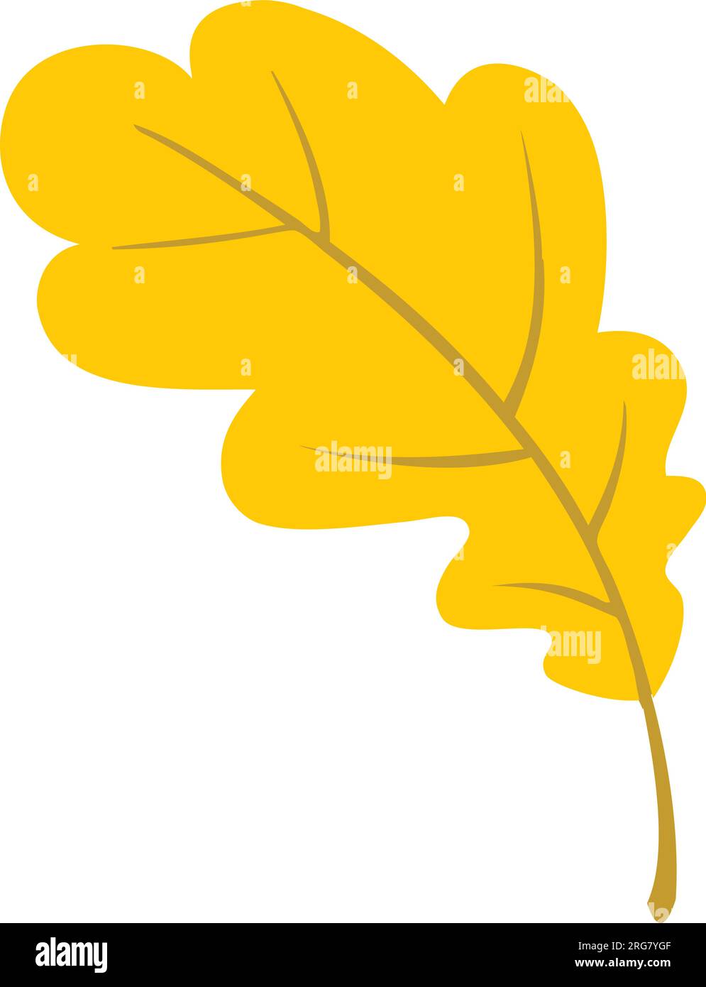 Cartoon orange oak leaf vector illustration isolated Stock Vector Image ...