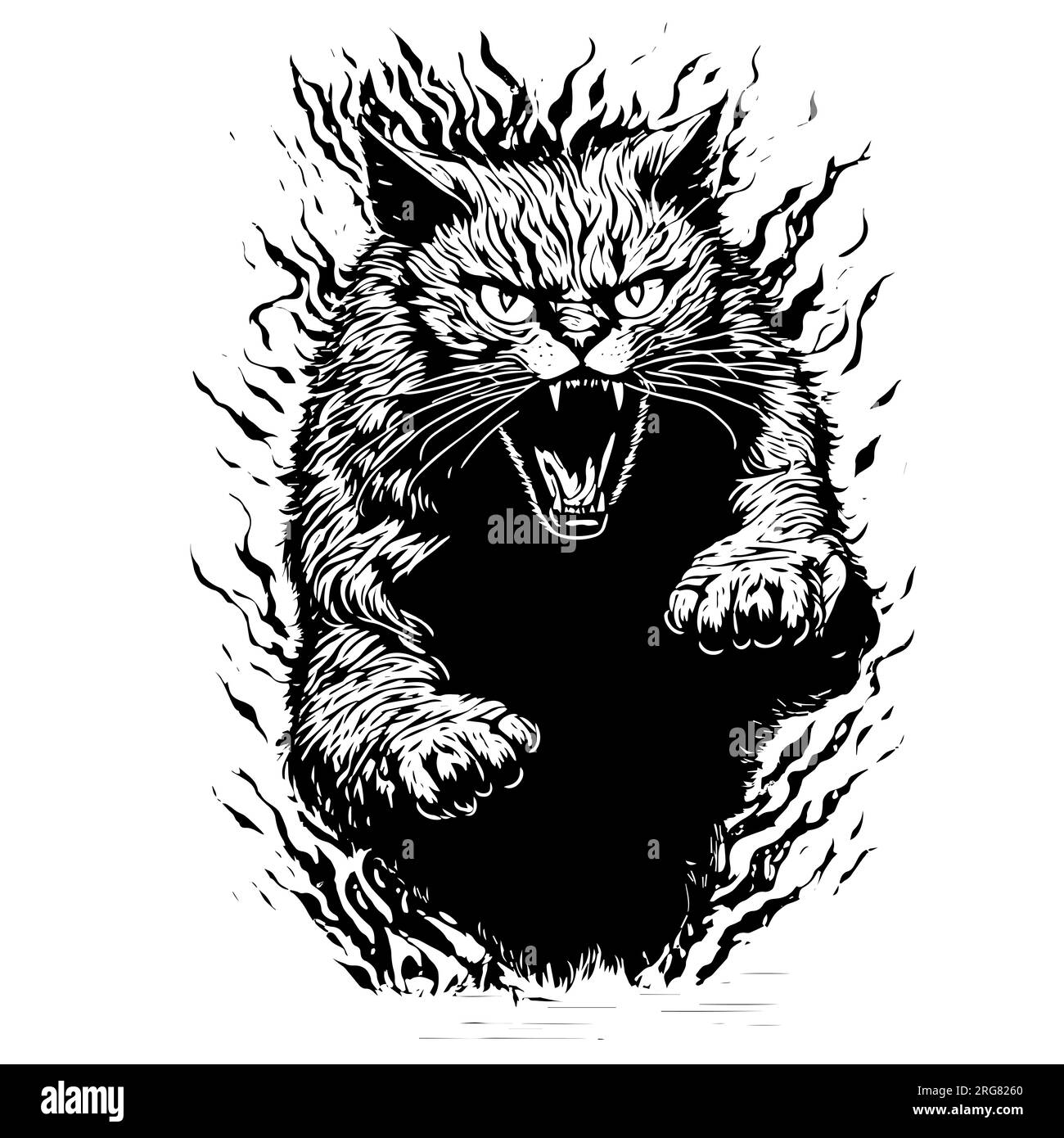 an angry cat illustration. a hand drawn illustration of a wild