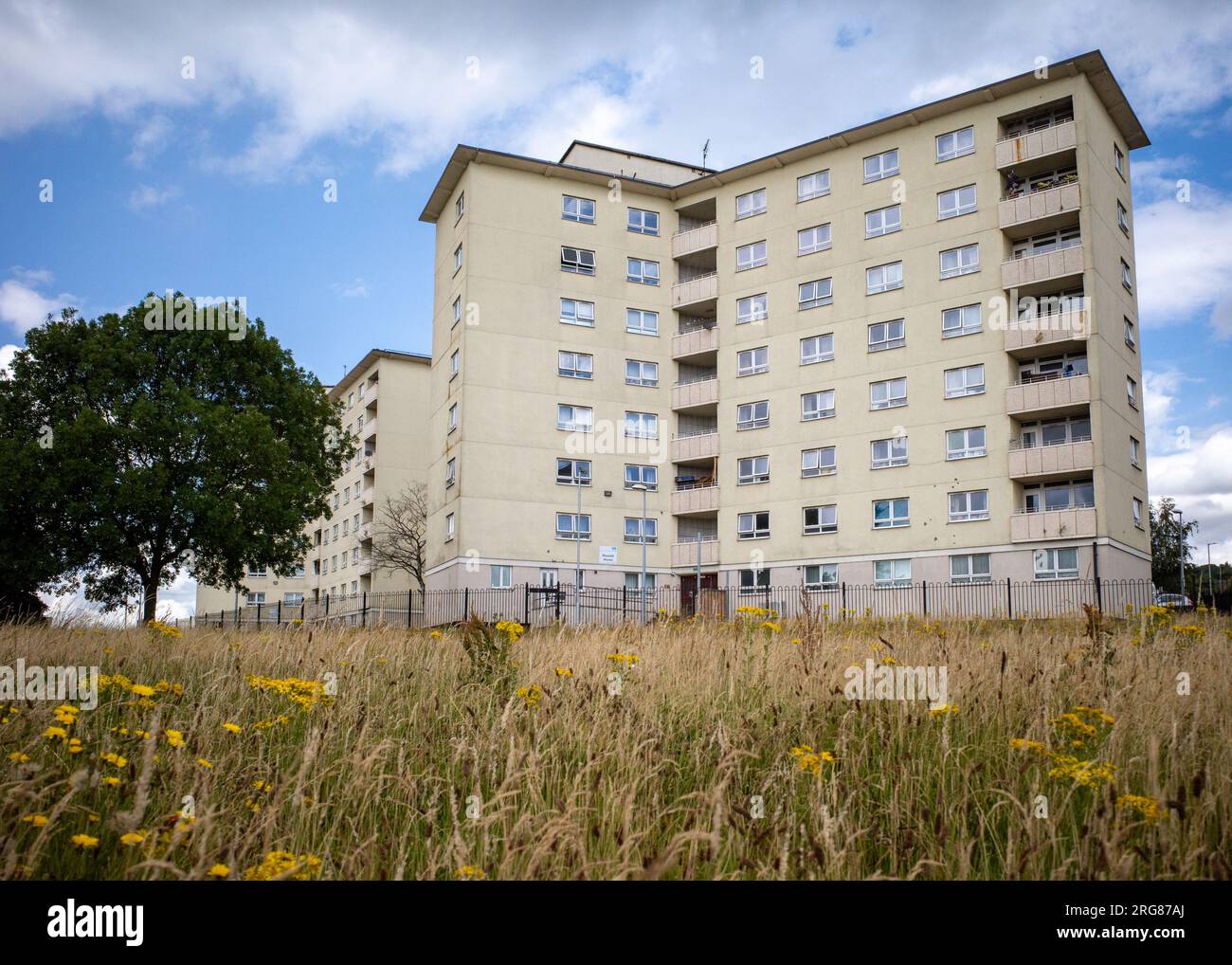 8-Storey council tower blocks in Bradford, 1960's architecture, UK social housing, High Rise flats England. Stock Photo