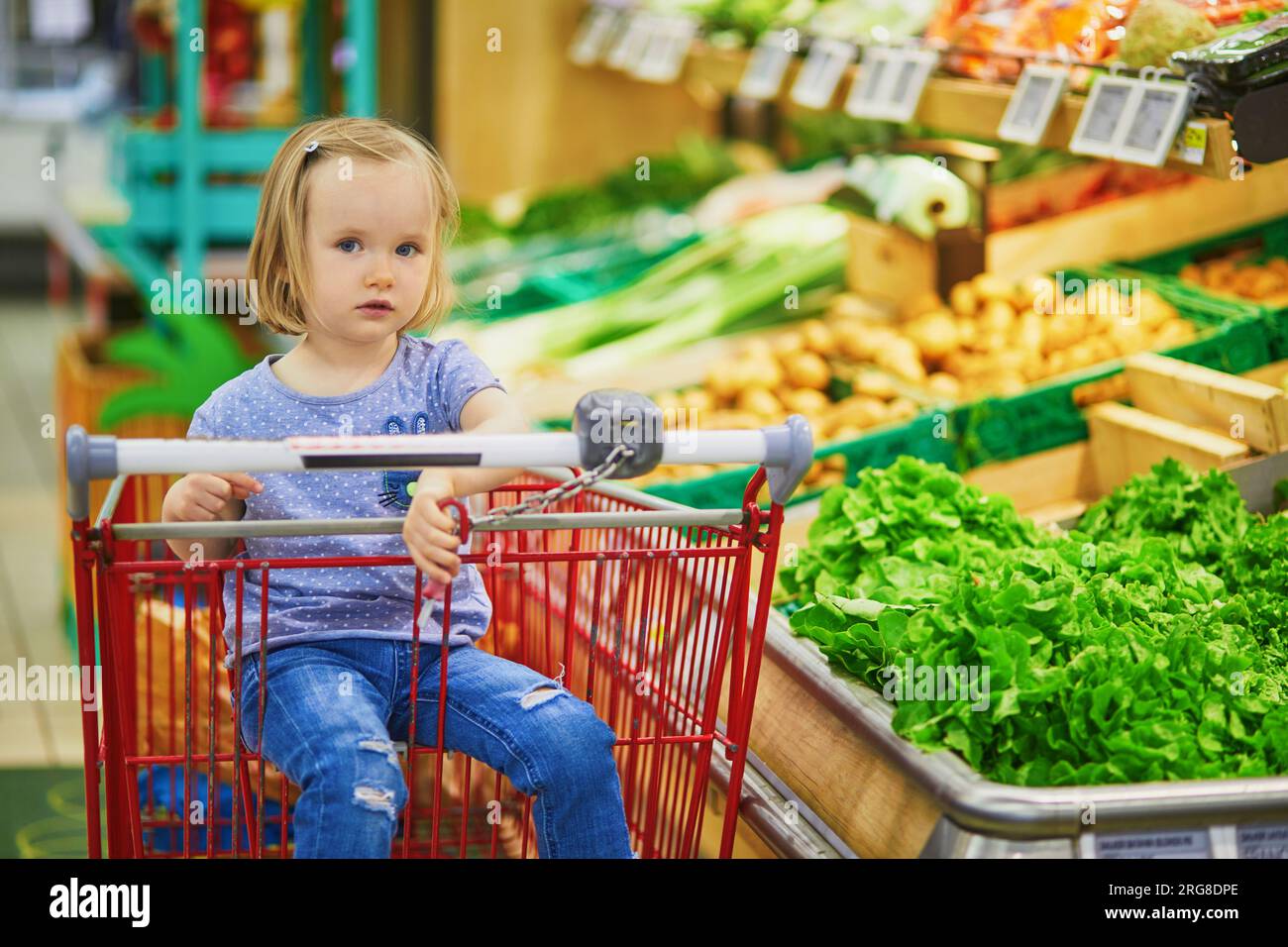 Adorable toddler girl sitting in the shopping cart in a food store or a ...