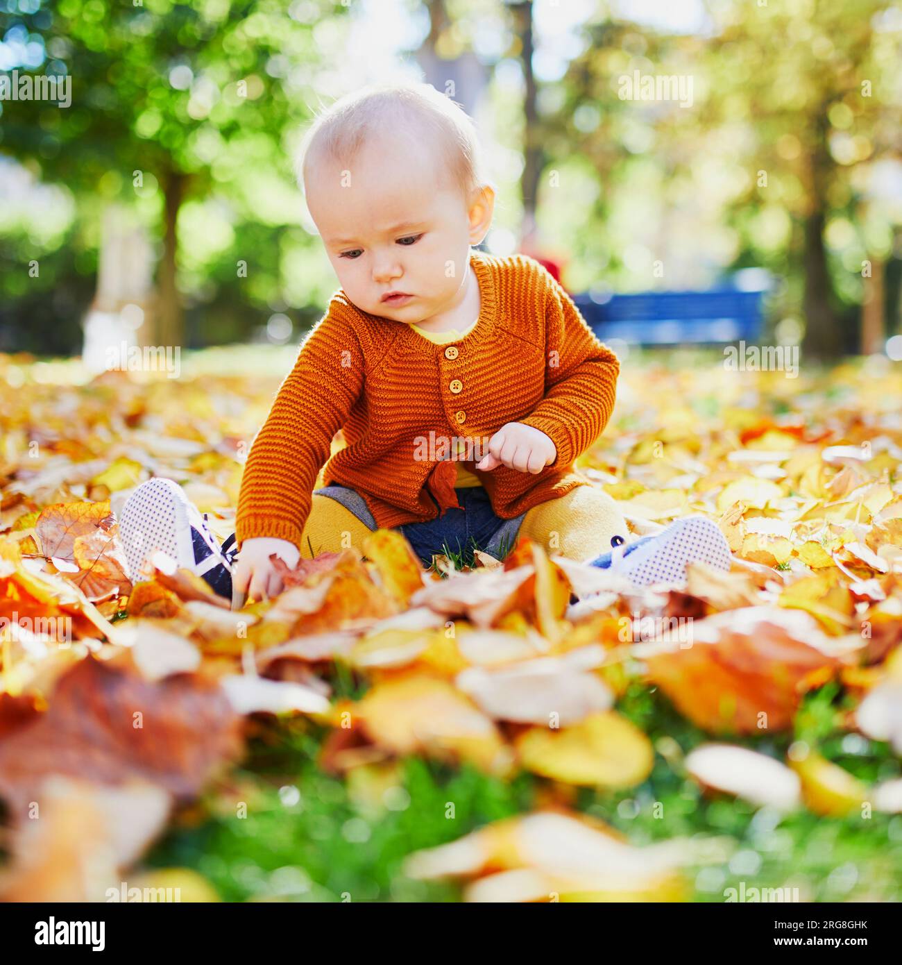 Adorable little girl sitting on the ground in park and playing with ...