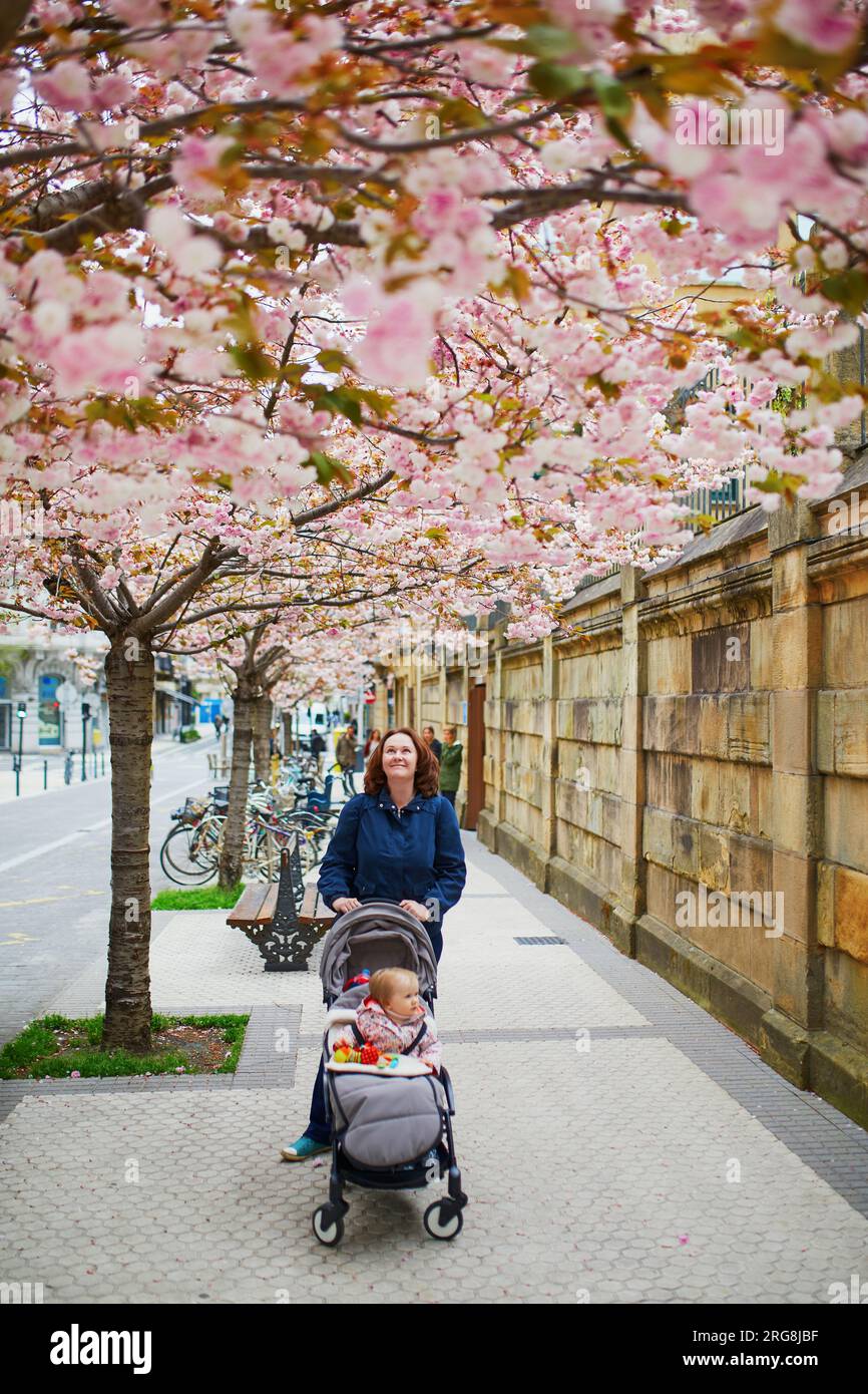 Young woman with her 1 year old baby girl in pushchair in park on a spring day. Mother and daughter enjoying apple tree blossom season. Family activit Stock Photo