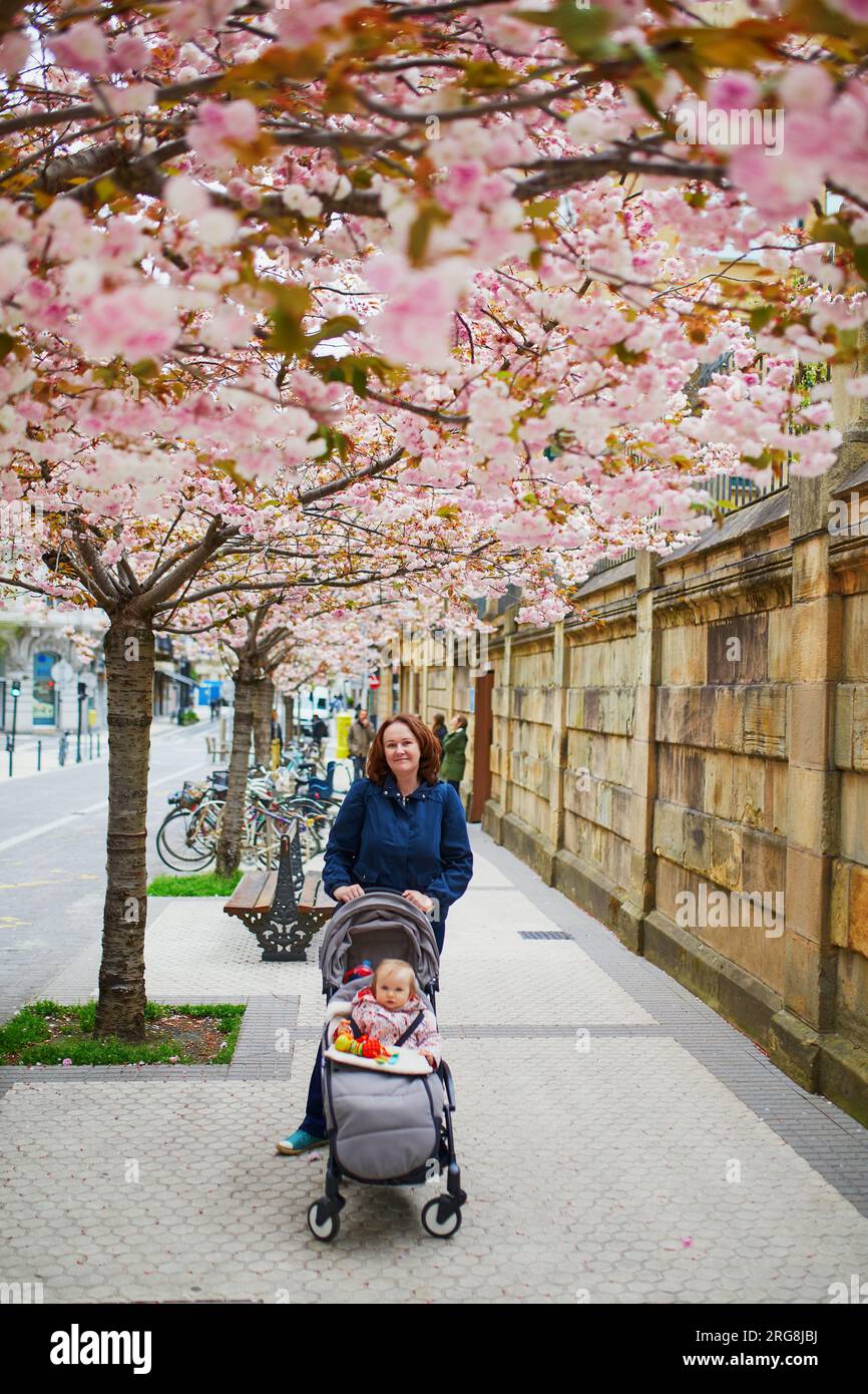 Young woman with her 1 year old baby girl in pushchair in park on a spring day. Mother and daughter enjoying apple tree blossom season. Family activit Stock Photo