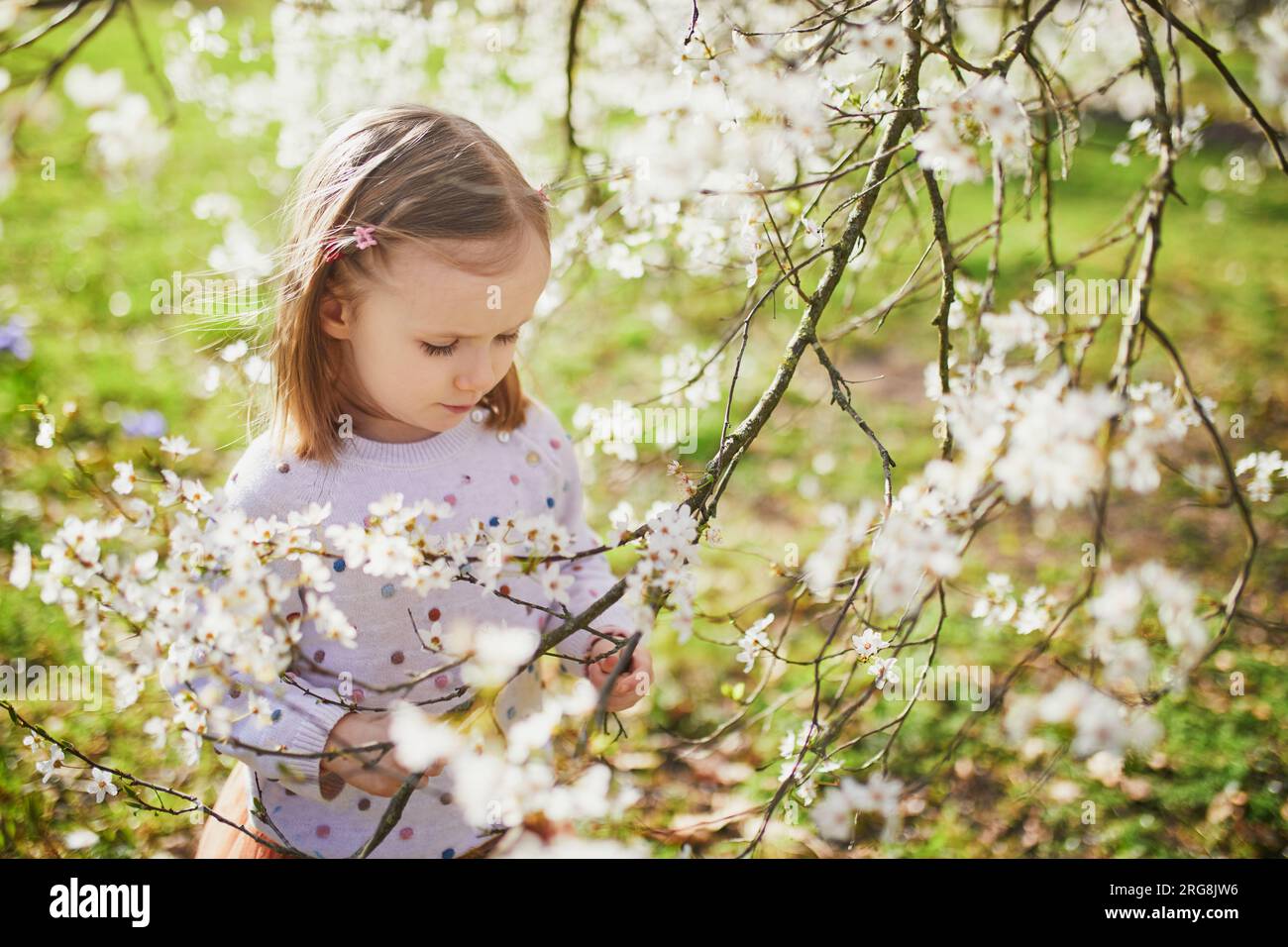 Adorable little girl enjoying nice and sunny spring day near apple tree ...